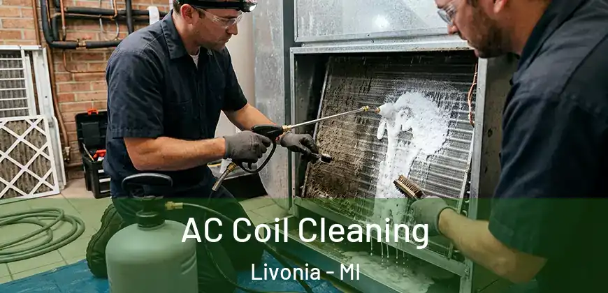  AC Coil Cleaning Livonia - MI
