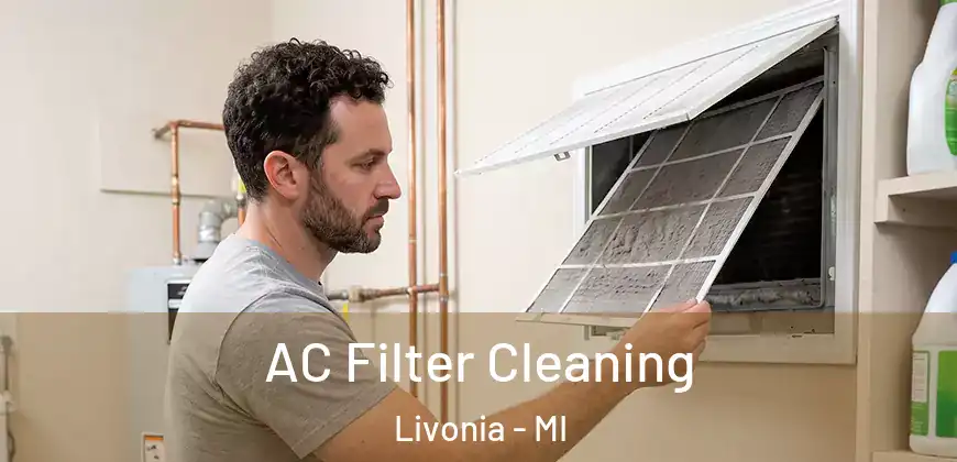  AC Filter Cleaning Livonia - MI