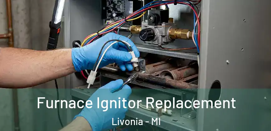  Furnace Ignitor Replacement Livonia - MI