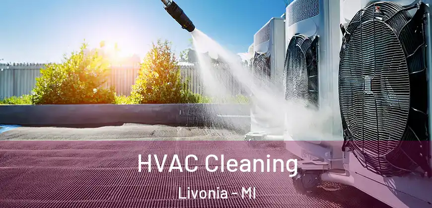 HVAC Cleaning Livonia - MI